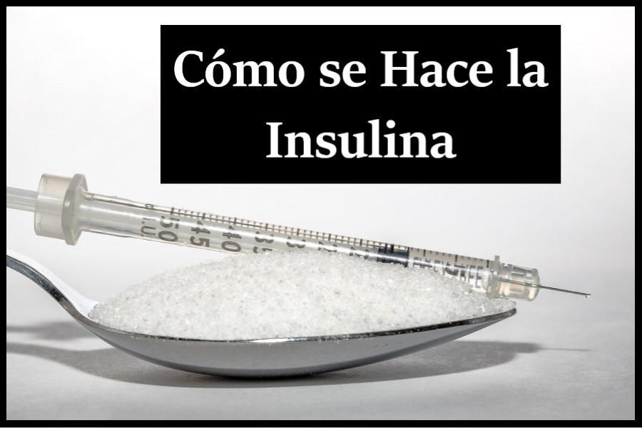 como se hace la insulina